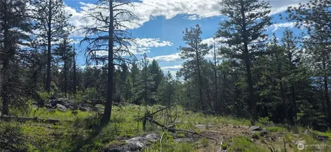 385 Corral Oroville WA 98844