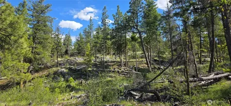 385 Corral Oroville WA 98844
