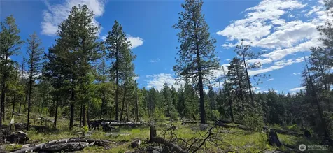 385 Corral Oroville WA 98844