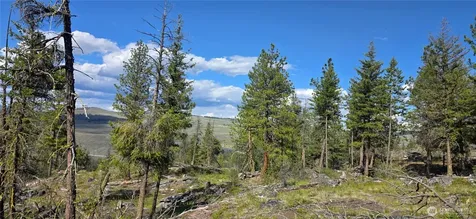385 Corral Oroville WA 98844