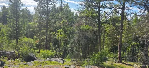 385 Corral Oroville WA 98844