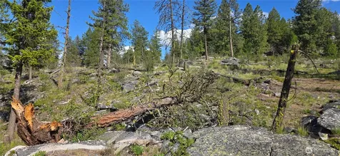 385 Corral Oroville WA 98844