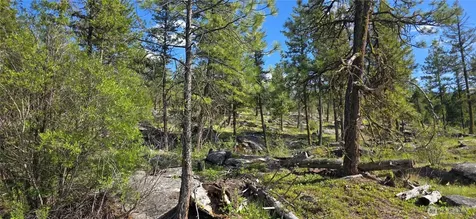 385 Corral Oroville WA 98844