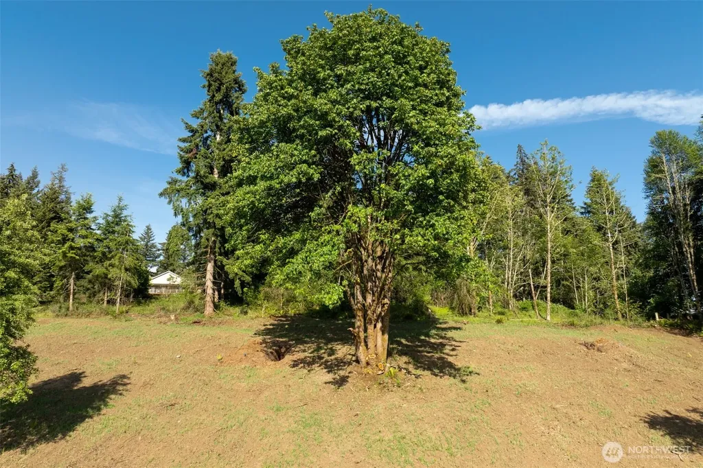 0 Lenora Lane Kelso WA 98626