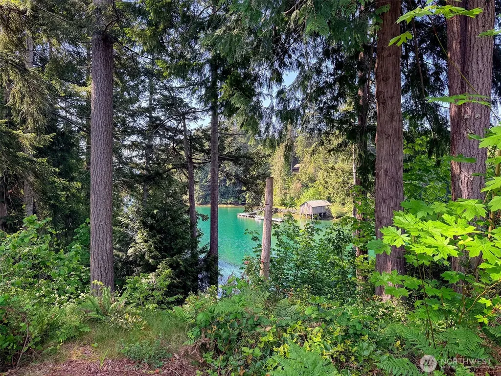 55 Wolf Road Quilcene WA 98376