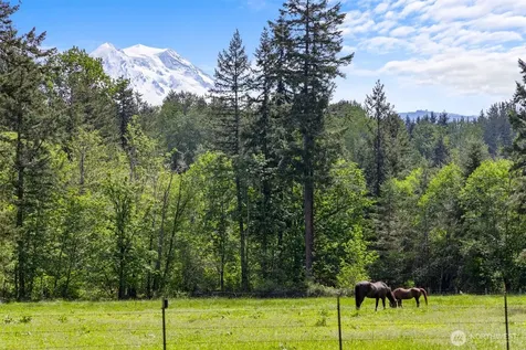 31909 112th Avenue E Graham WA 98338