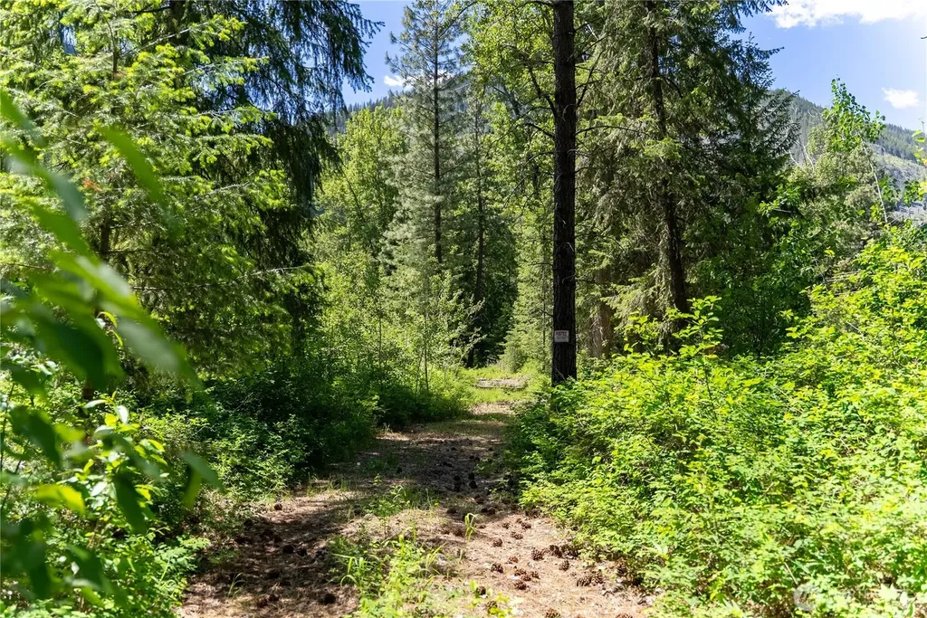 97 Cedarosa Way Mazama WA 98833