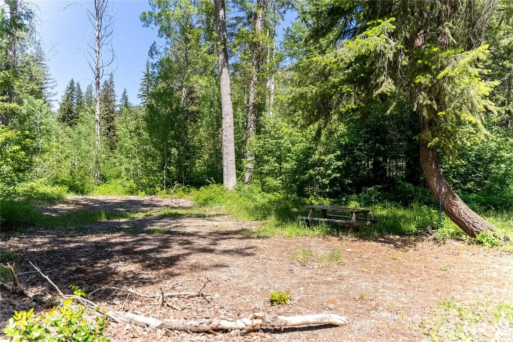97 Cedarosa Way Mazama WA 98833