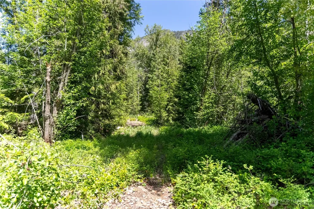 97 Cedarosa Way Mazama WA 98833
