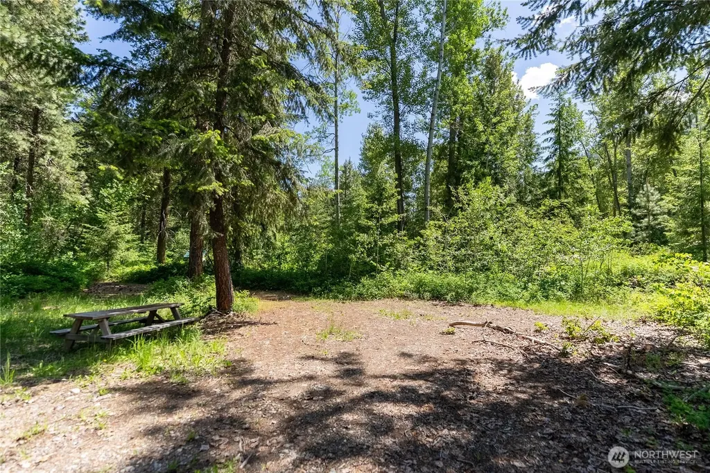 97 Cedarosa Way Mazama WA 98833