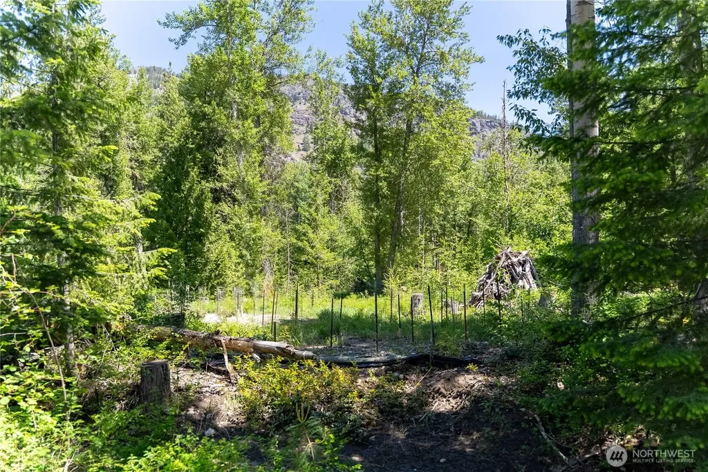 97 Cedarosa Way Mazama WA 98833