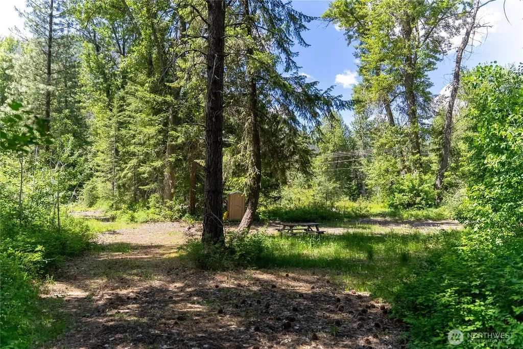 97 Cedarosa Way Mazama WA 98833