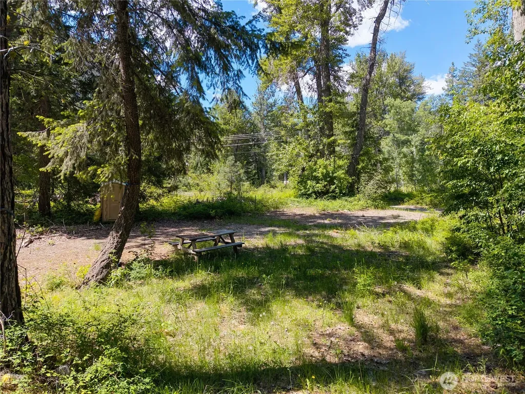 97 Cedarosa Way Mazama WA 98833
