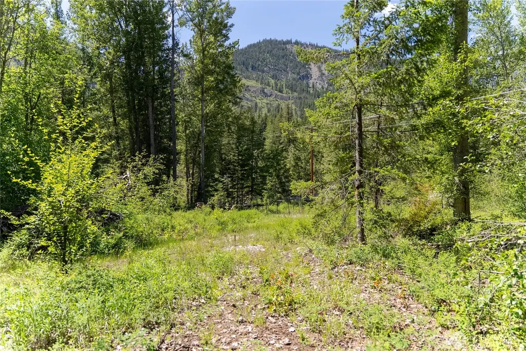 97 Cedarosa Way Mazama WA 98833