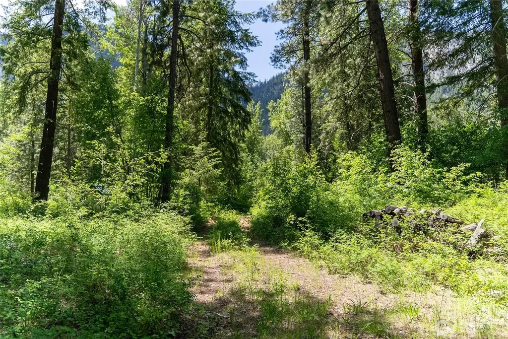 97 Cedarosa Way Mazama WA 98833
