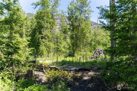 97 Cedarosa Way Mazama WA 98833