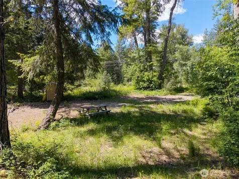 97 Cedarosa Way Mazama WA 98833