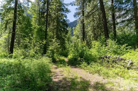 97 Cedarosa Way Mazama WA 98833