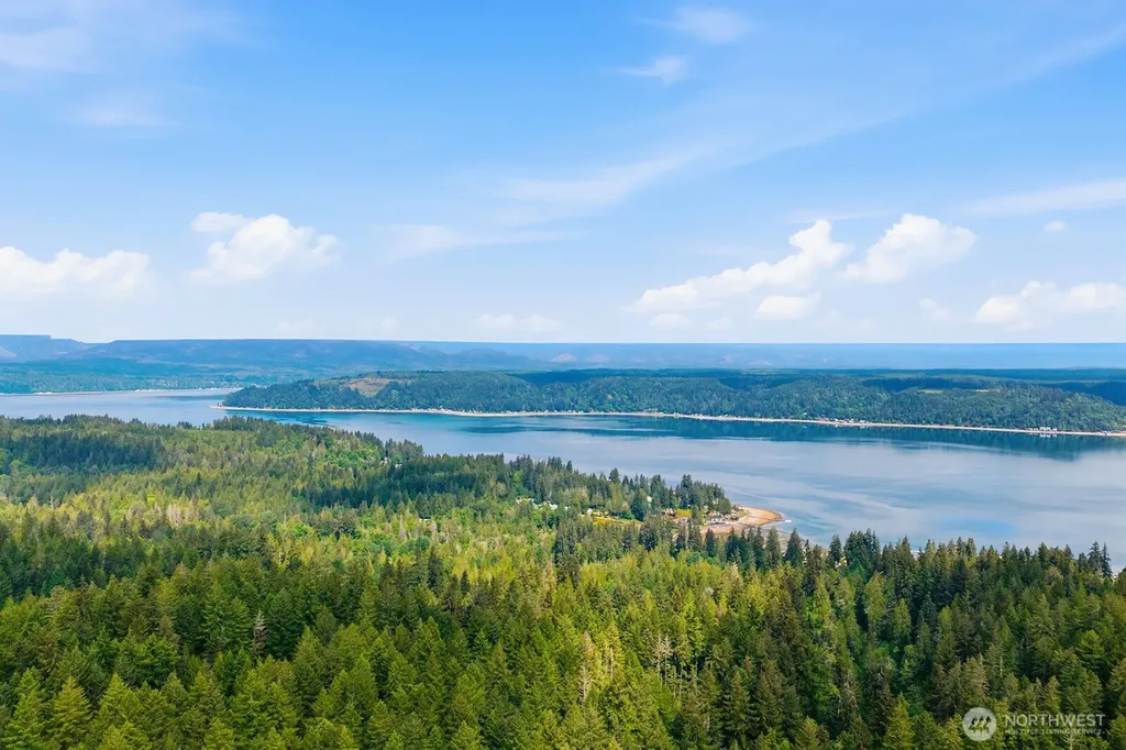1081 E Vine Maple Lane Union WA 98592