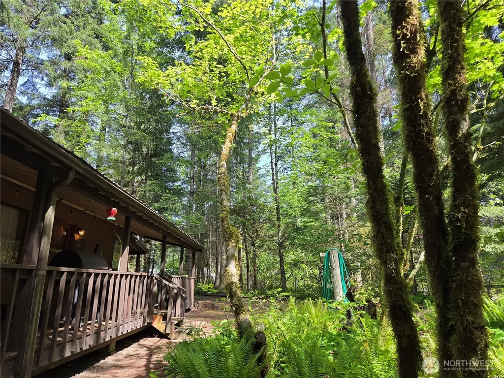 119 Shady Lane Packwood WA 98361