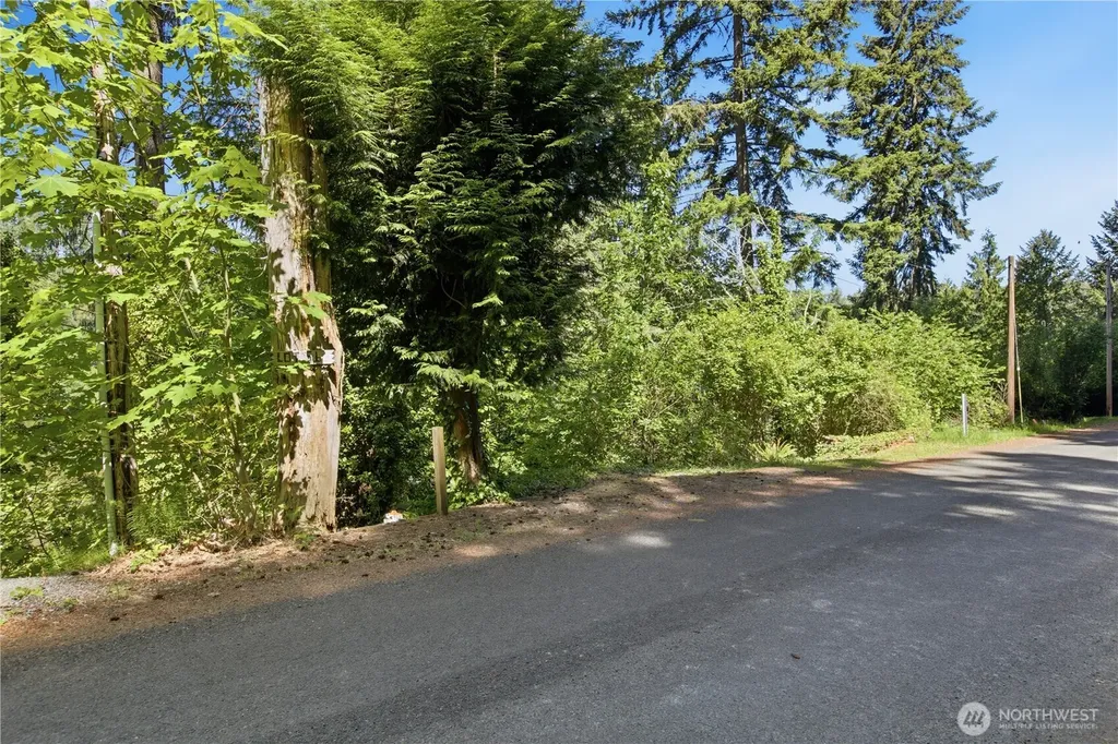 39420 Ski Park Road E Eatonville WA 98328