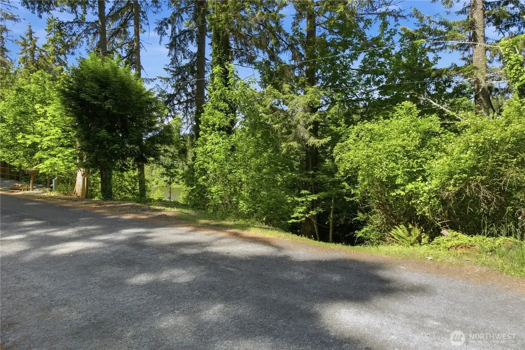39420 Ski Park Road E Eatonville WA 98328