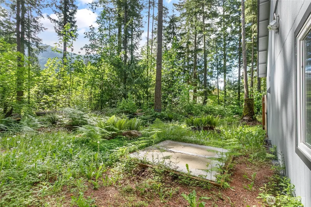 981 Red Valley Lane Maple Falls WA 98266
