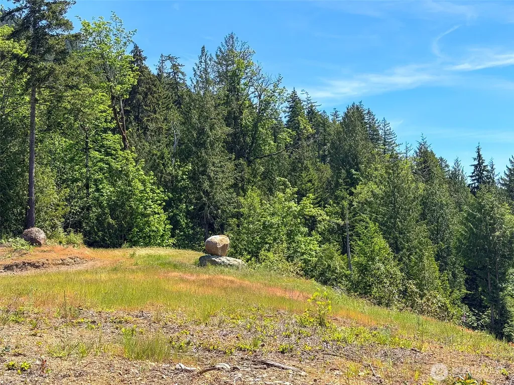111 Rocky Brook Road Brinnon WA 98320