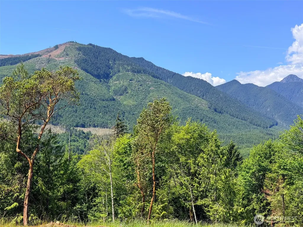 111 Rocky Brook Road Brinnon WA 98320