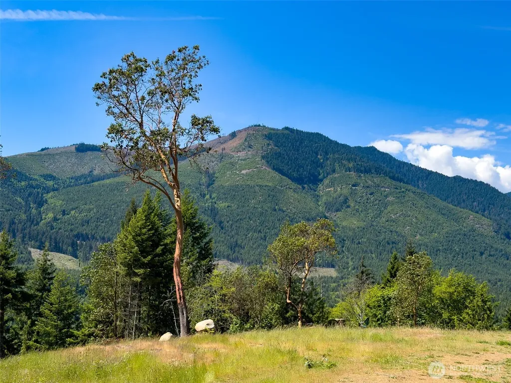 111 Rocky Brook Road Brinnon WA 98320