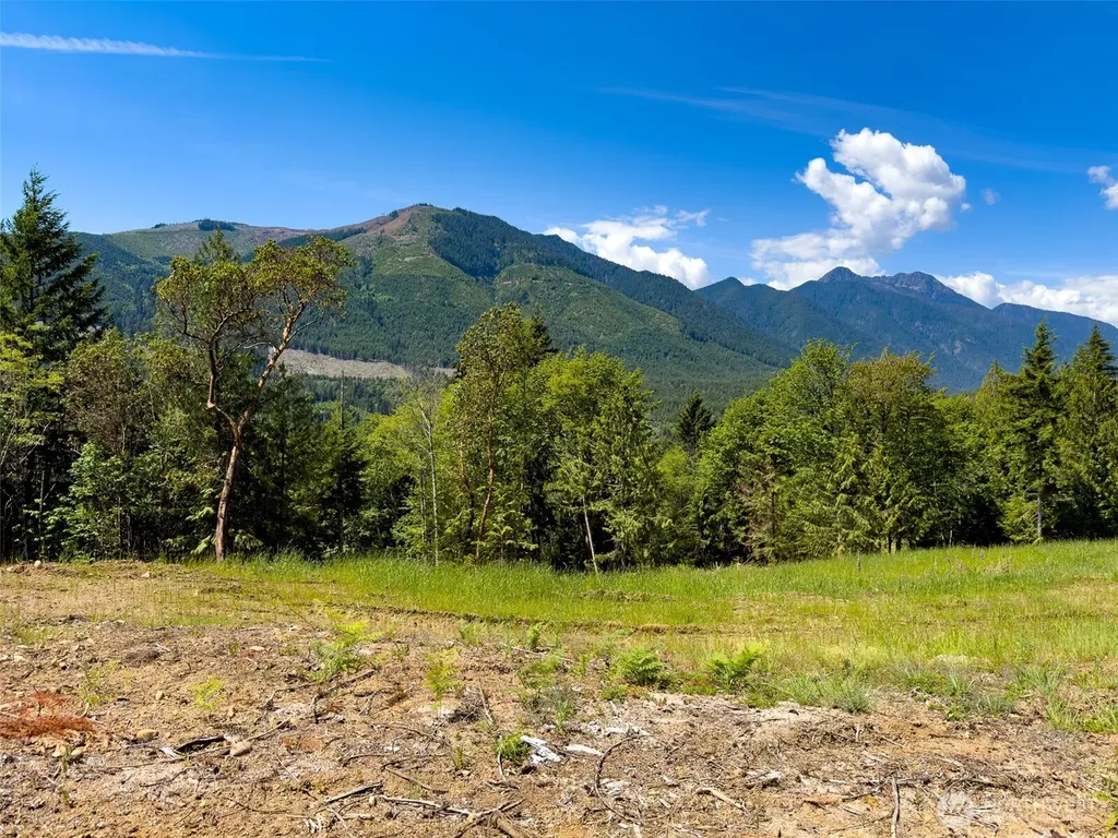 111 Rocky Brook Road Brinnon WA 98320