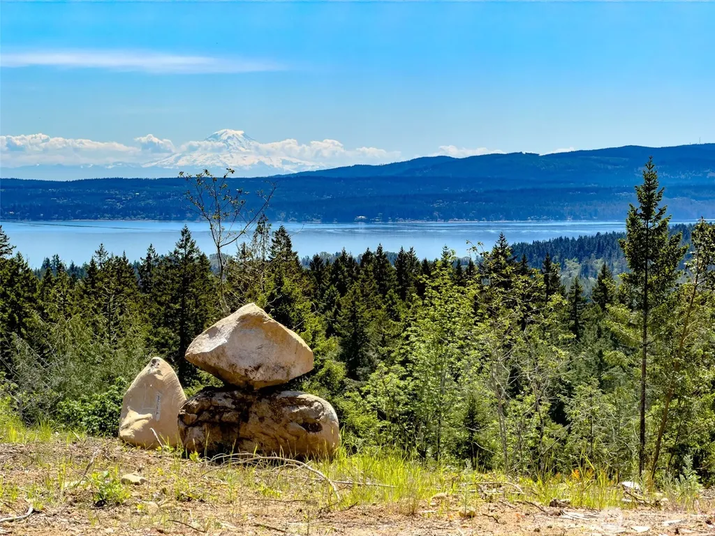 111 Rocky Brook Road Brinnon WA 98320