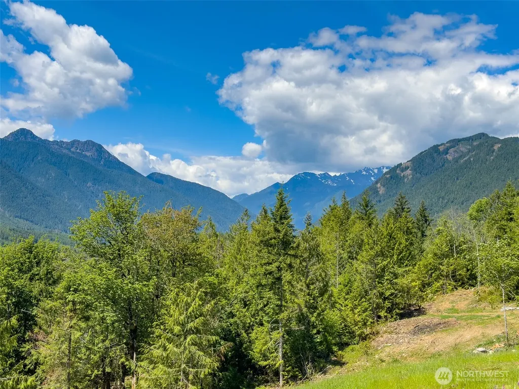 111 Rocky Brook Road Brinnon WA 98320