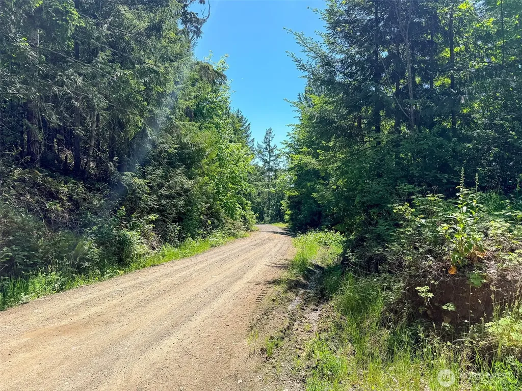 111 Rocky Brook Road Brinnon WA 98320