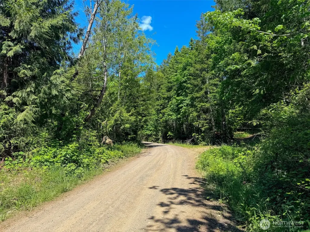 111 Rocky Brook Road Brinnon WA 98320