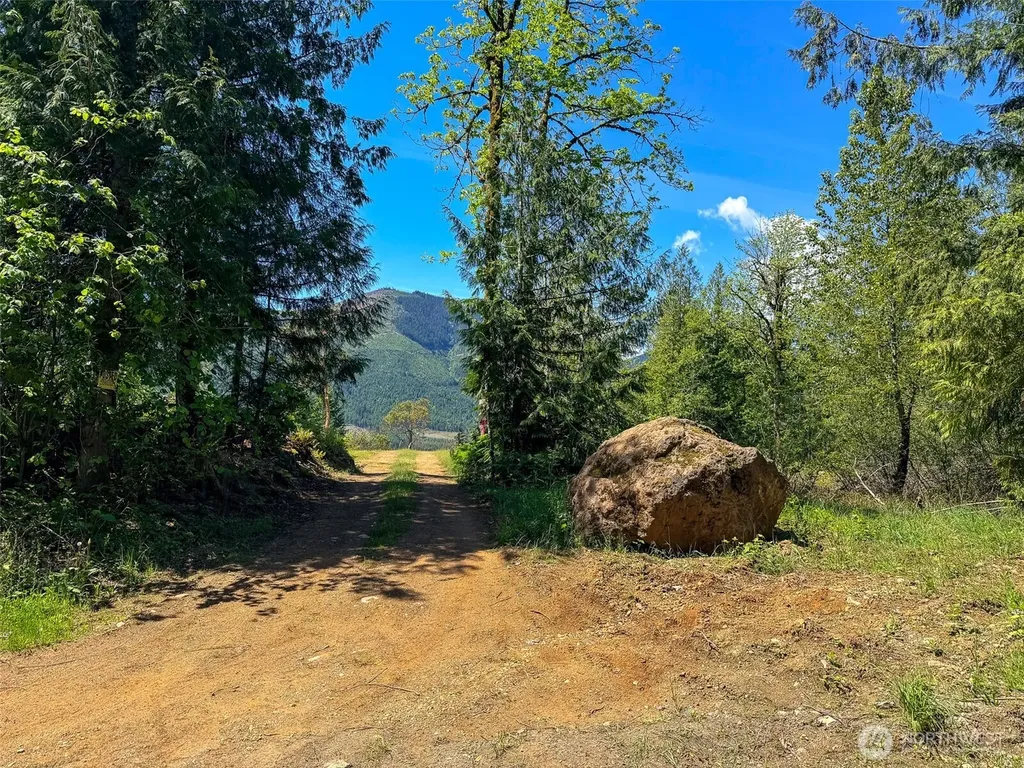 111 Rocky Brook Road Brinnon WA 98320