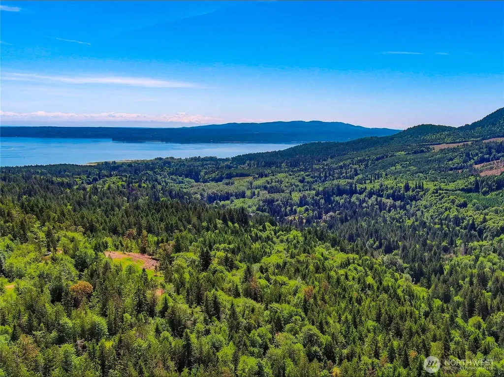 111 Rocky Brook Road Brinnon WA 98320