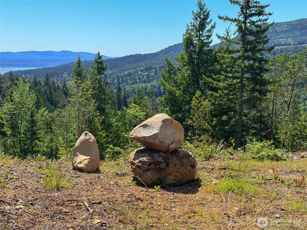 111 Rocky Brook Road Brinnon WA 98320
