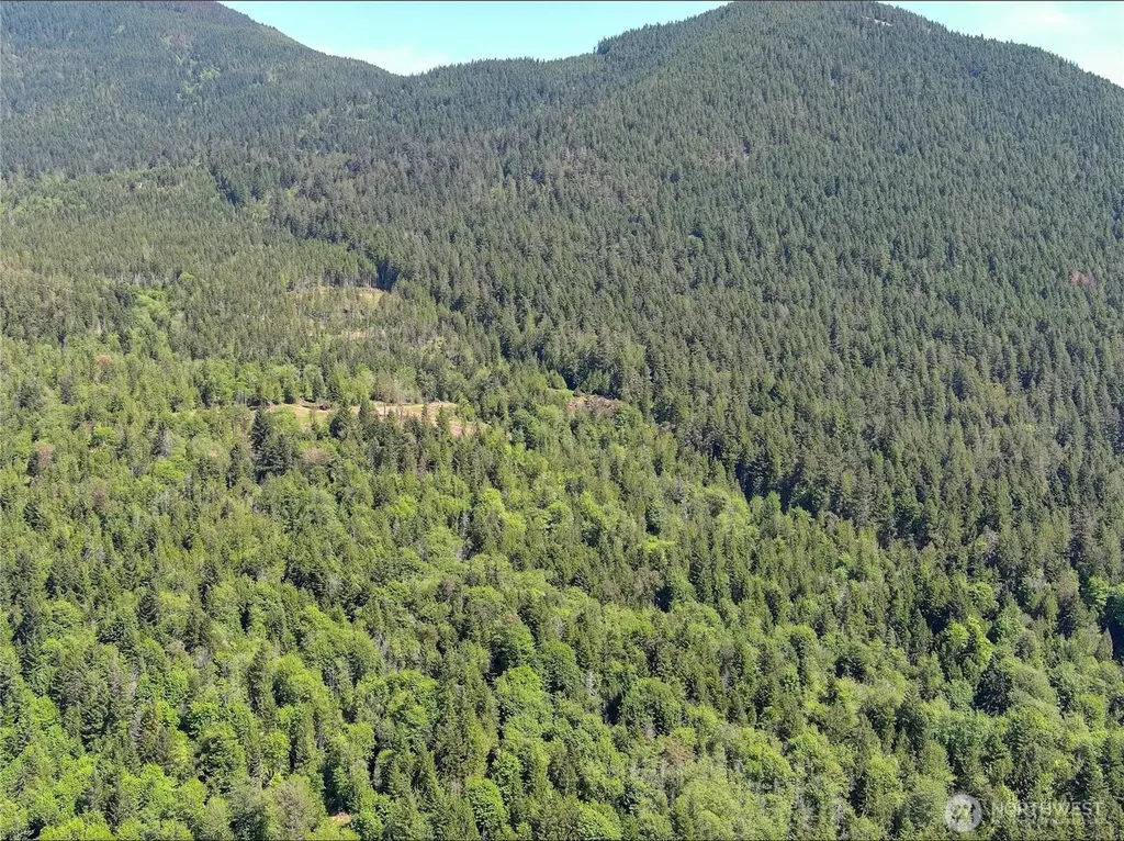 111 Rocky Brook Road Brinnon WA 98320