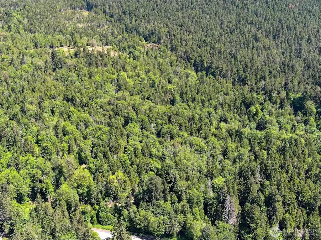 111 Rocky Brook Road Brinnon WA 98320