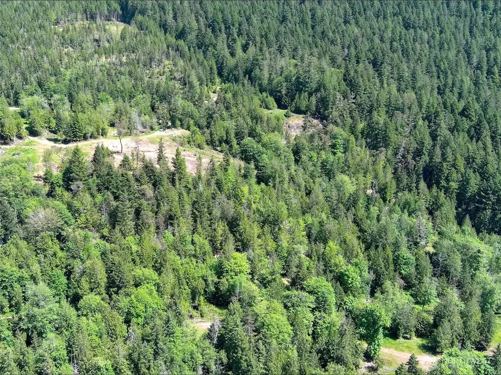 111 Rocky Brook Road Brinnon WA 98320
