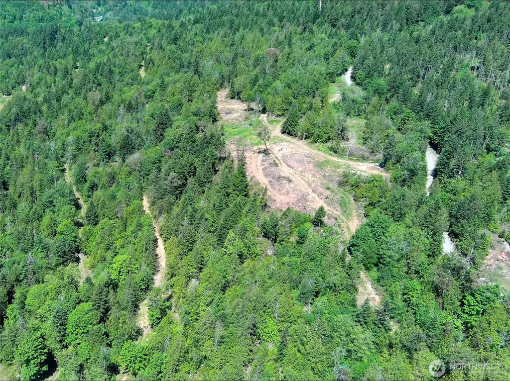 111 Rocky Brook Road Brinnon WA 98320