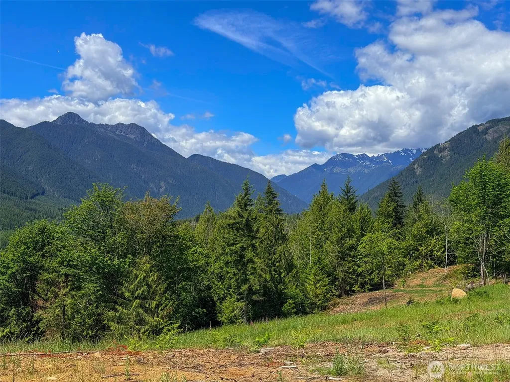 111 Rocky Brook Road Brinnon WA 98320