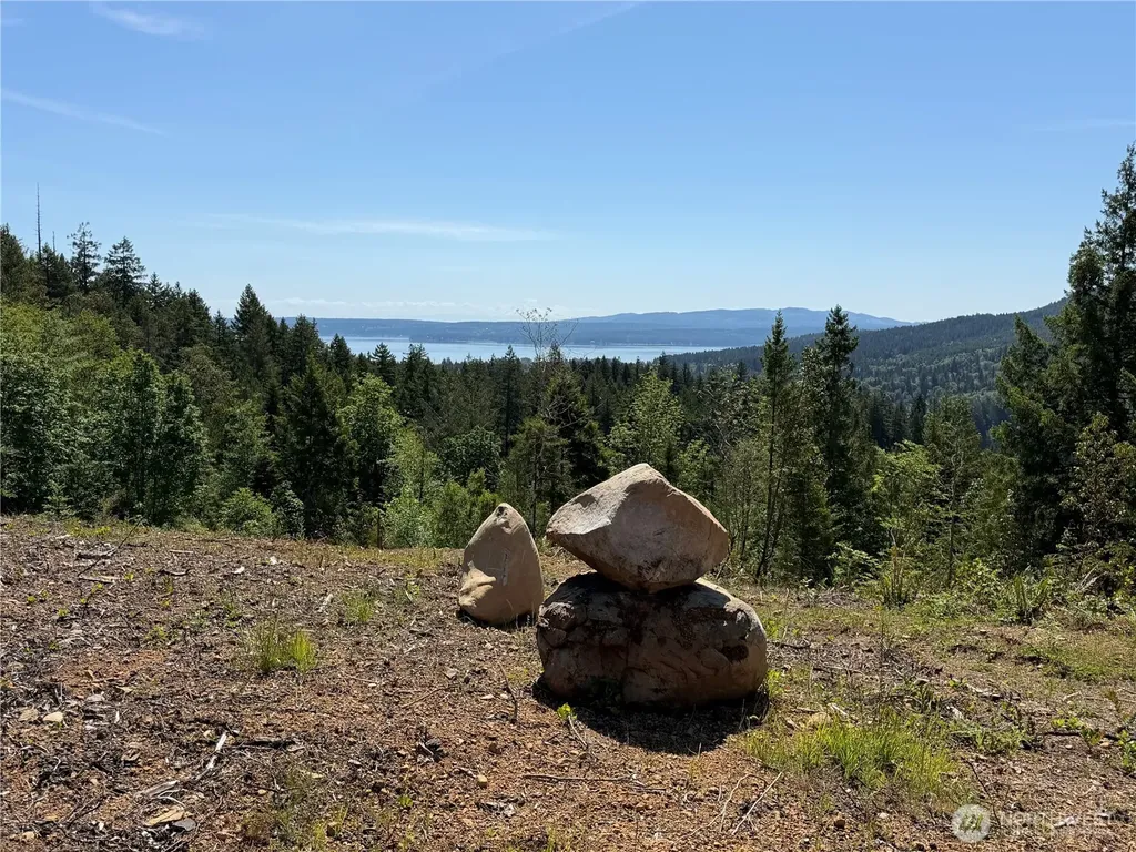 111 Rocky Brook Road Brinnon WA 98320
