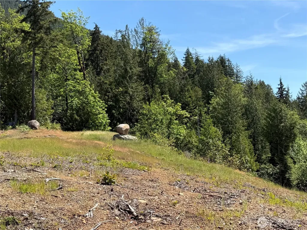 111 Rocky Brook Road Brinnon WA 98320