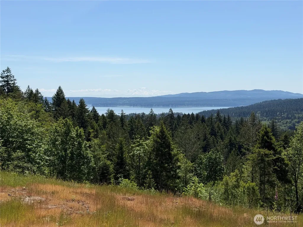 111 Rocky Brook Road Brinnon WA 98320