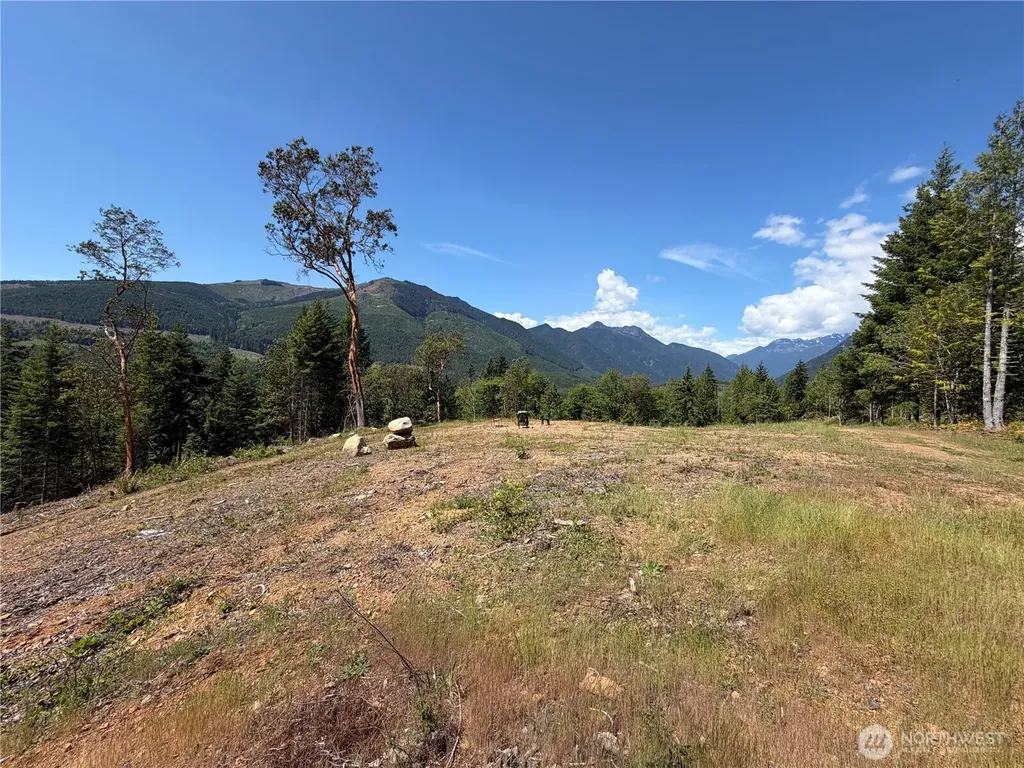 111 Rocky Brook Road Brinnon WA 98320