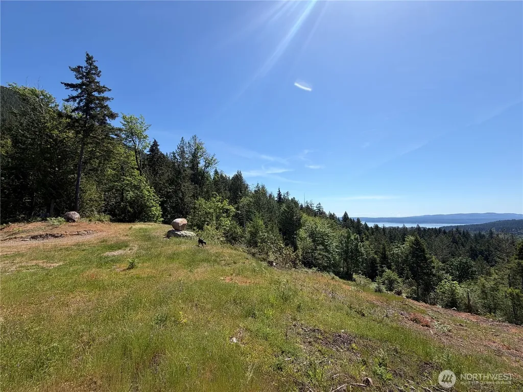 111 Rocky Brook Road Brinnon WA 98320