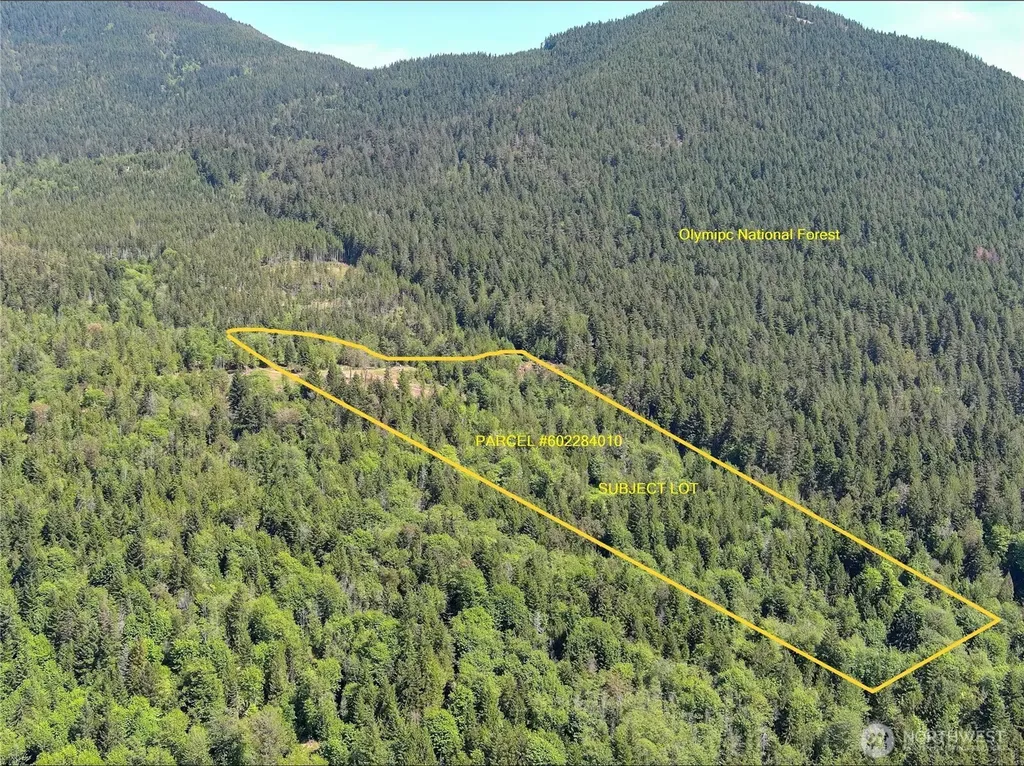 111 Rocky Brook Road Brinnon WA 98320