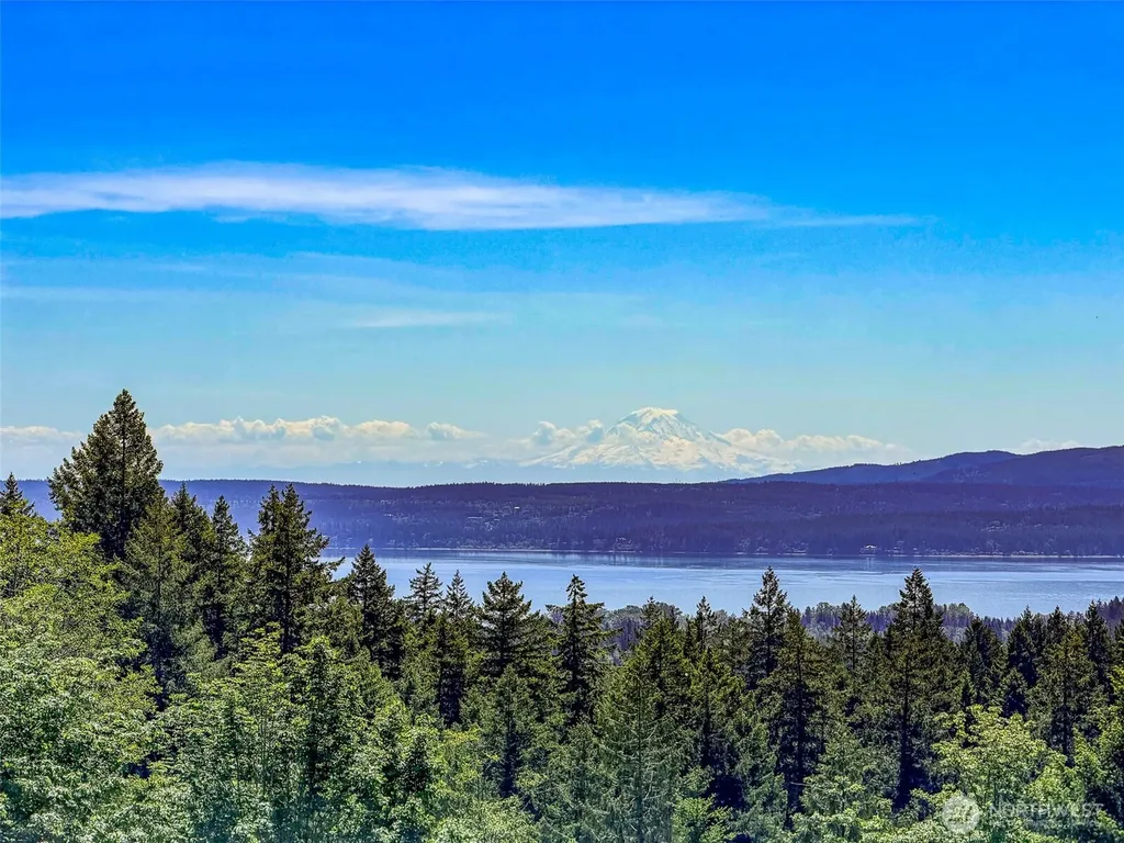 111 Rocky Brook Road Brinnon WA 98320